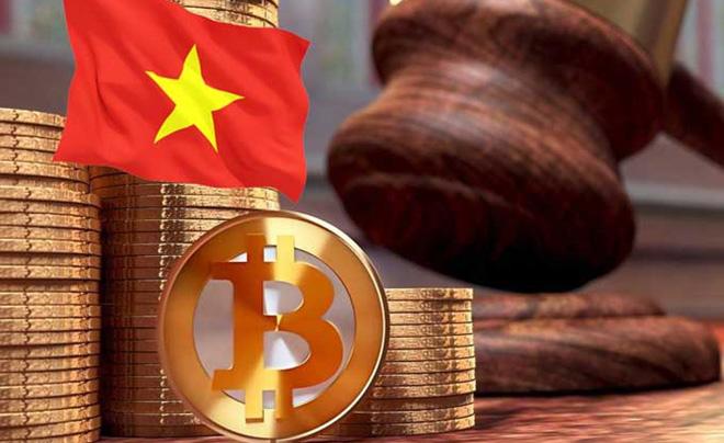 Cách tải Ta La Phỏm Zing Play dễ dàng và nhanh chóng trên điện thoại