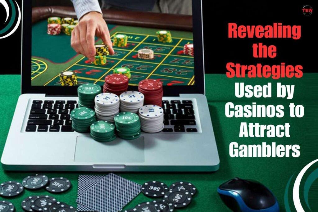 Xem đá gà trực tiếp cùng casino uy tín thưởng lớn mỗi ngày